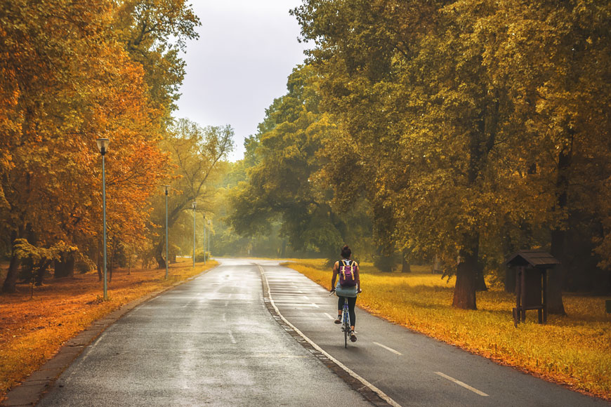 A person on a bike peddles along a bike path through a park in the autumn