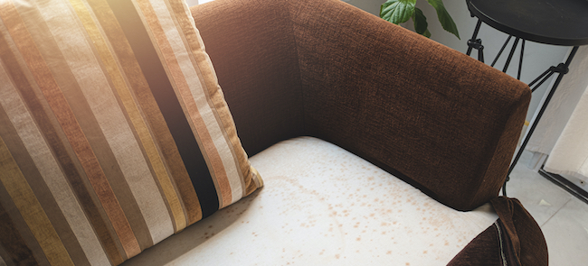 How to Remove Mould from Fabric Furniture Effectively