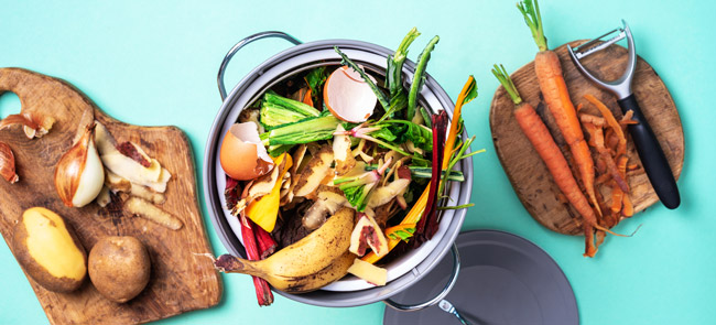 How to Reduce Food Waste at Home: 10 Simple Tips for an Eco-Friendly Kitchen